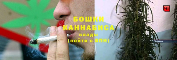 а пвп мука Бородино