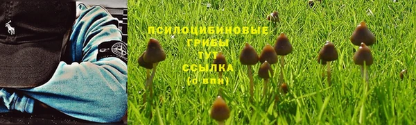 крисы Аркадак