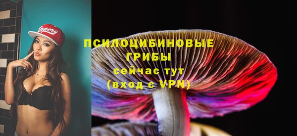 стаф Баксан