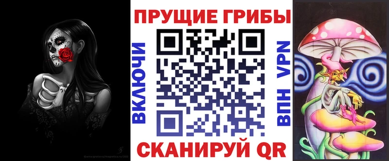 Галлюциногенные грибы прущие грибы  наркошоп  Зеленоградск 